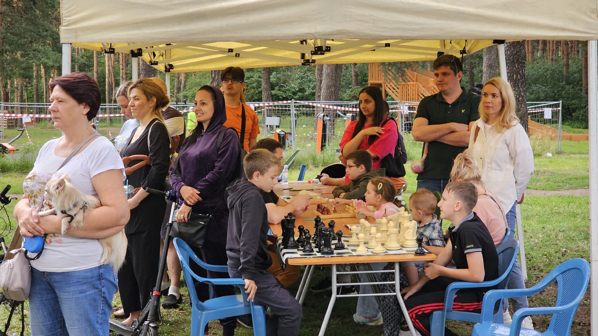 Ночь в парке, лето в Подмосковье, Котельники