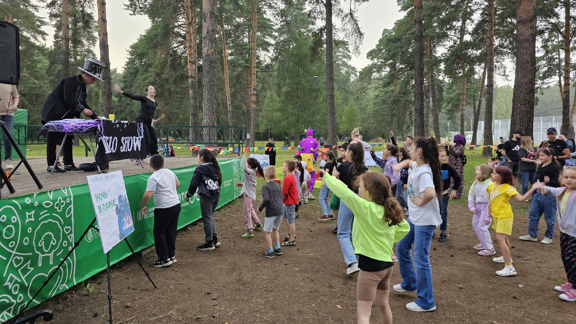 Ночь в парке, лето в Подмосковье, Котельники