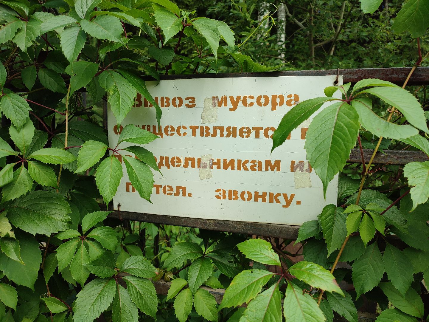 #снт, #губернатор, #талдомскийокруг, #экология, #несанкционированныесвалки