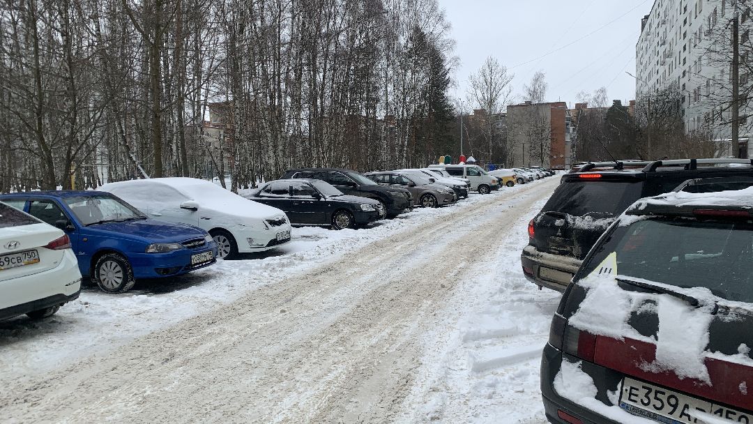 Ступино, общество