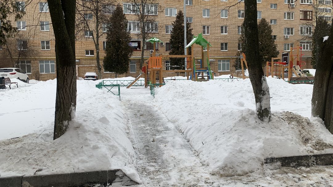 Ступино, общество