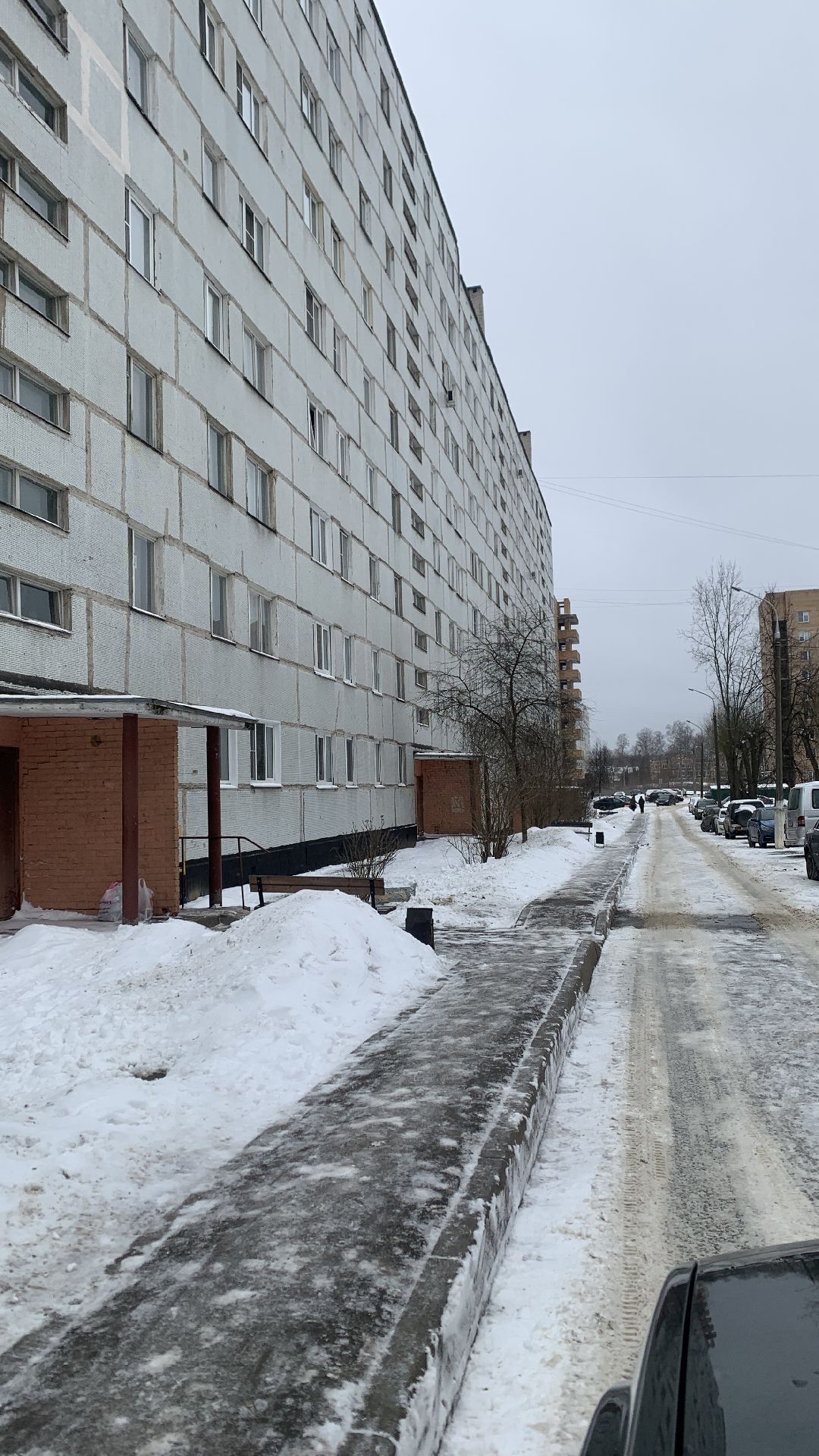 Ступино, общество