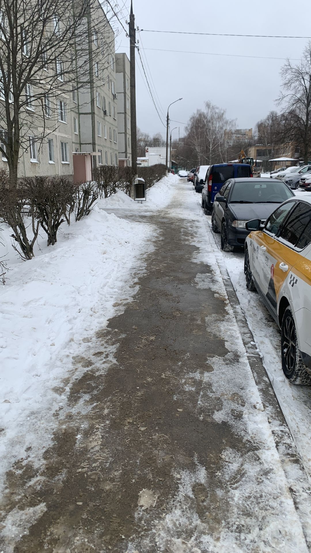 Ступино, общество