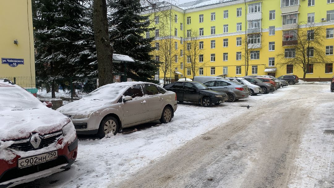 Ступино, общество