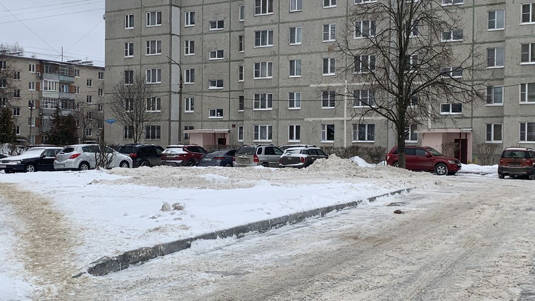 Ступино, общество