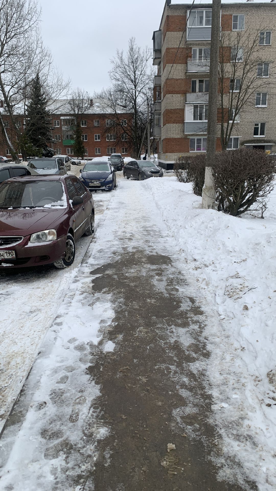 Ступино, общество