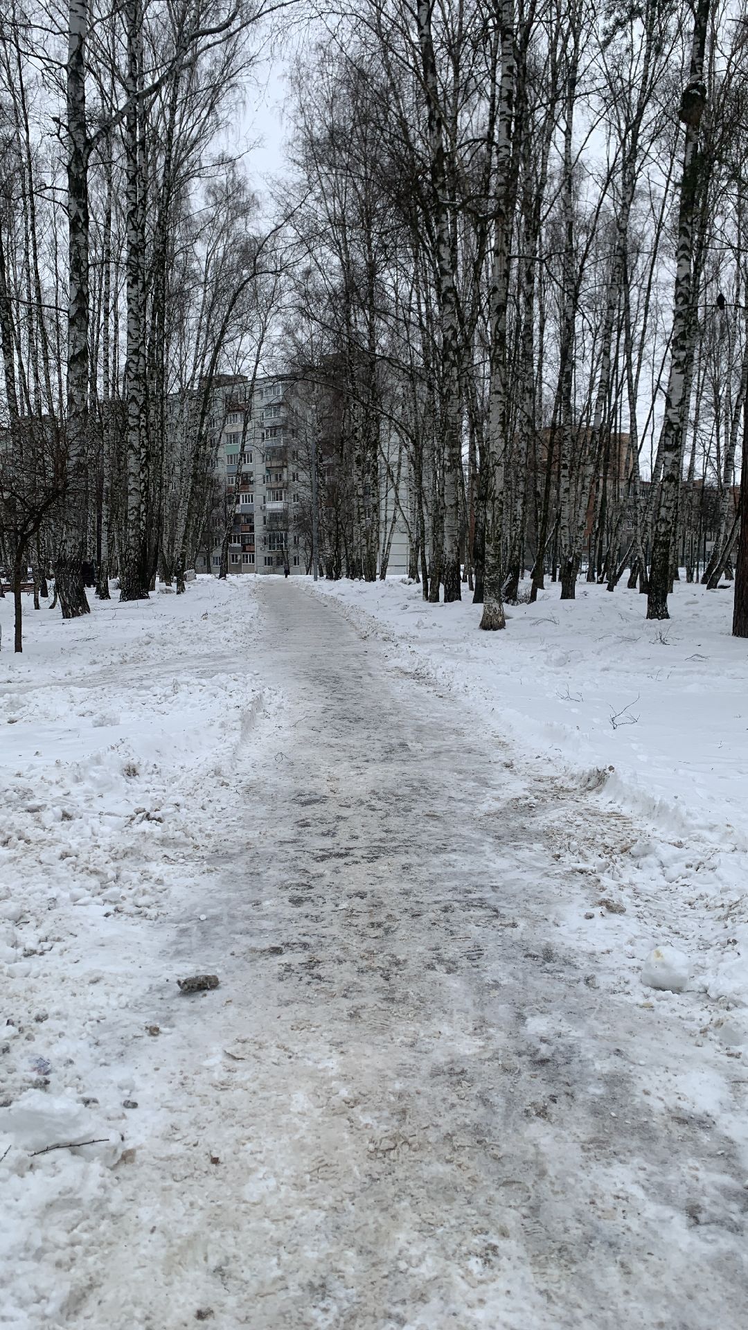 Ступино, общество