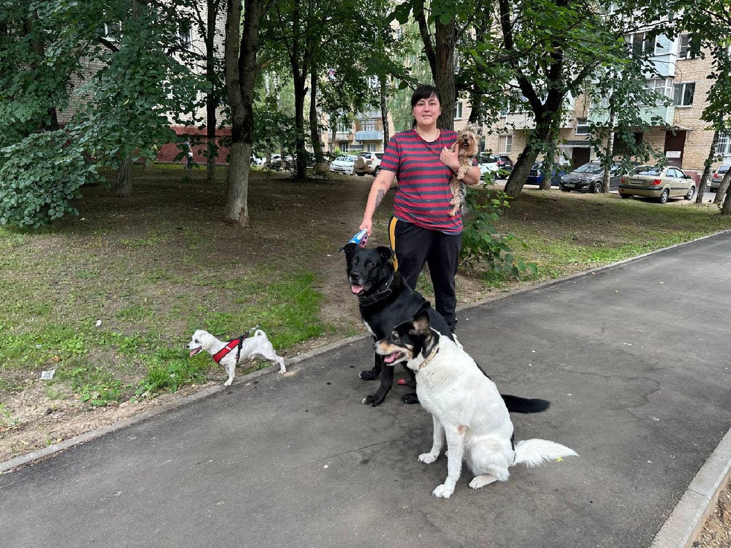 Благоустройство территории, асфальтирование, дорожное покрытие, Наро-Фоминск