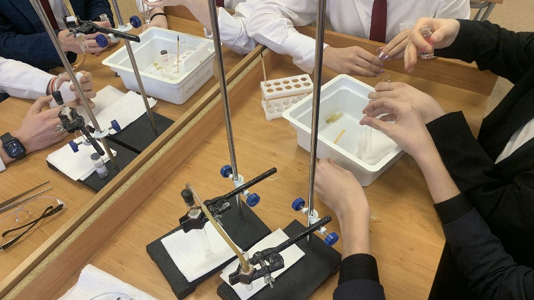 Ступино, общество