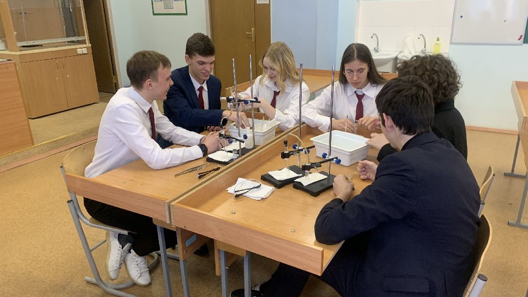 Ступино, общество