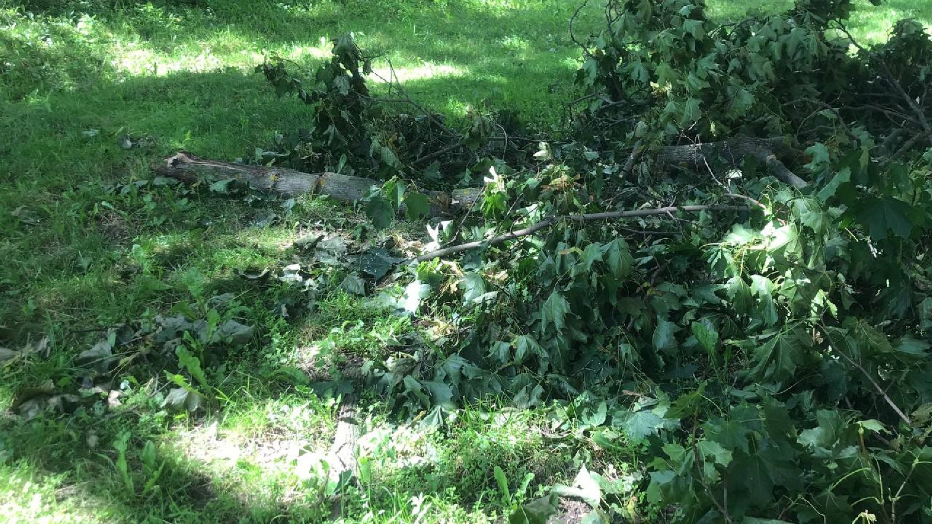 Коломна, благоустройство, общество