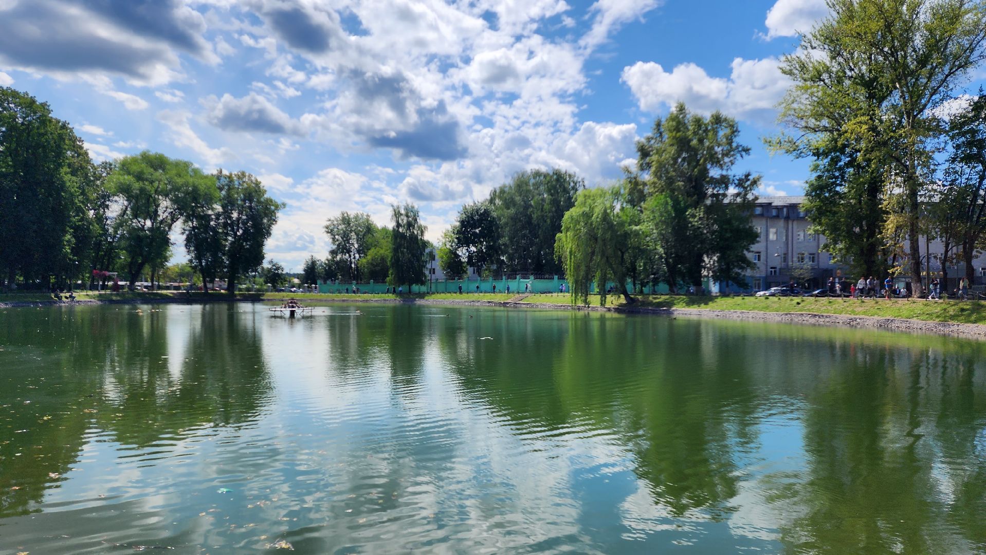 экология, благоустройство, фауна,