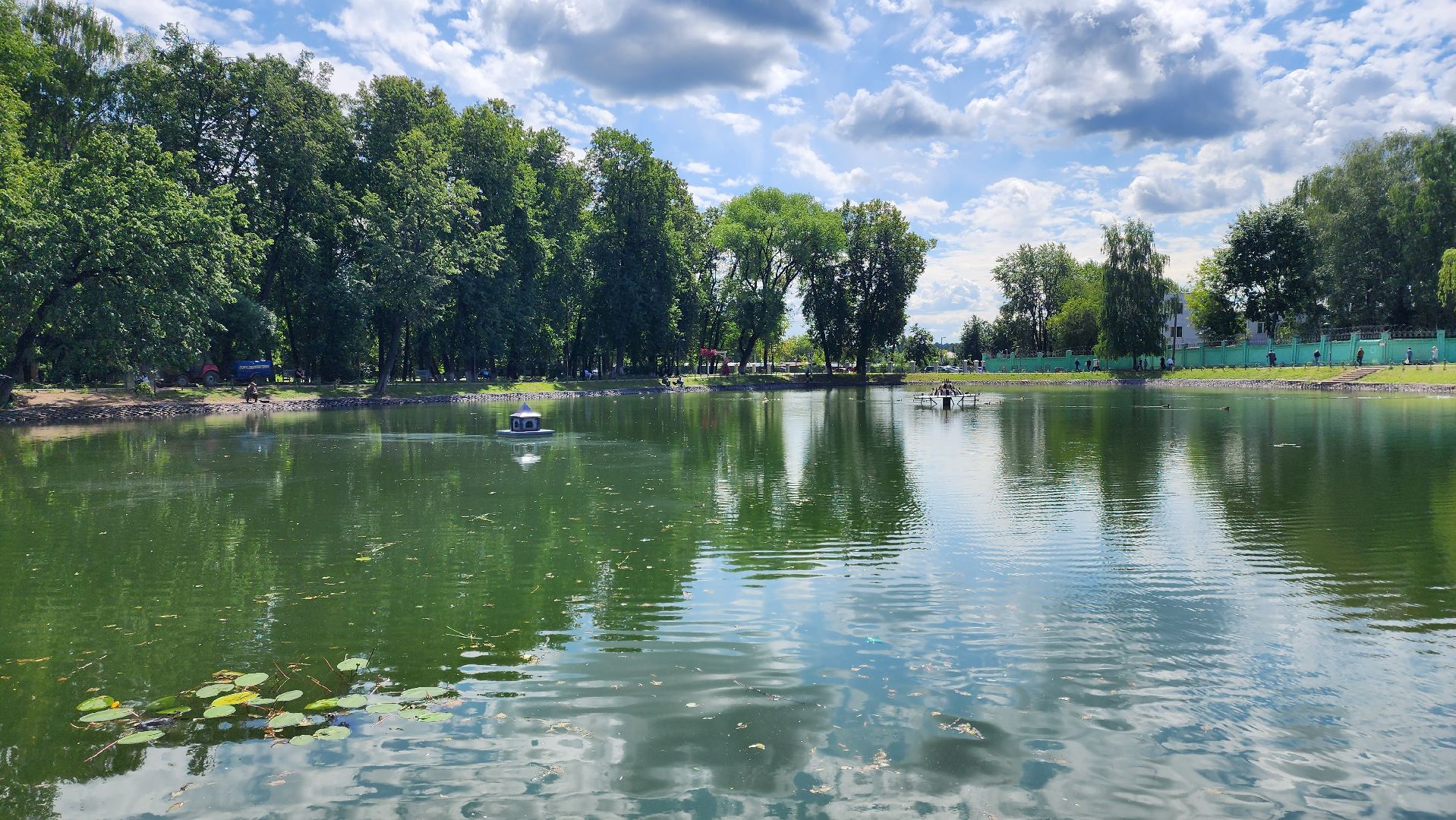 экология, благоустройство, фауна,