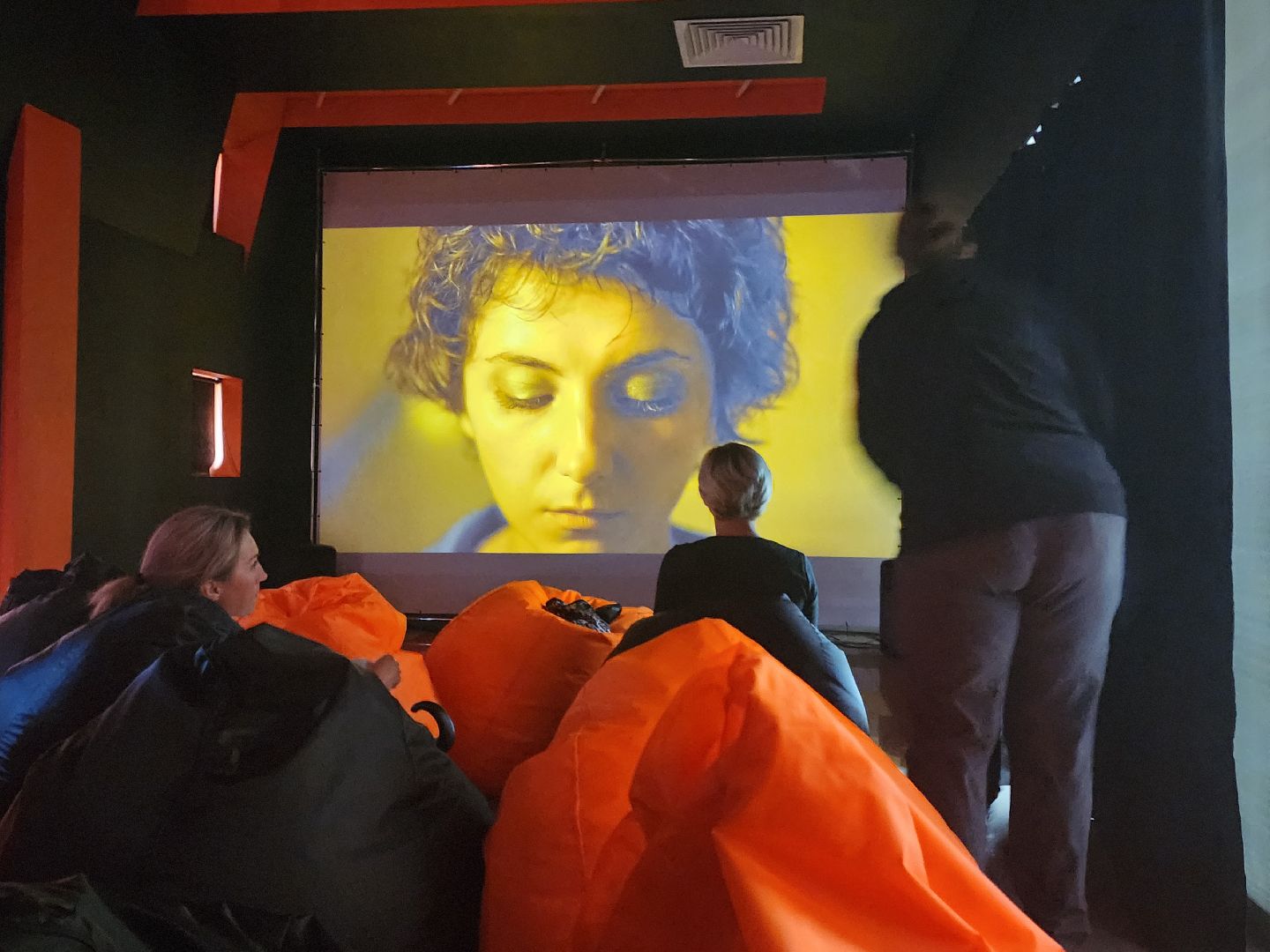 Звенигород, фестиваль уличного кино, искусство, короткометражные кино