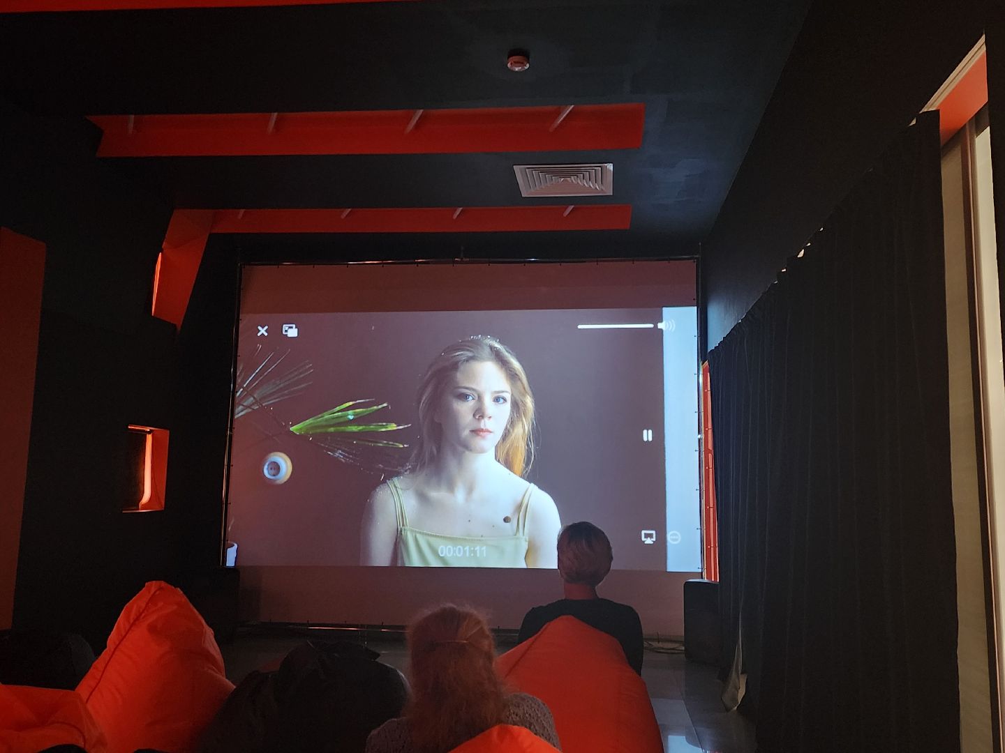 Звенигород, фестиваль уличного кино, искусство, короткометражные кино