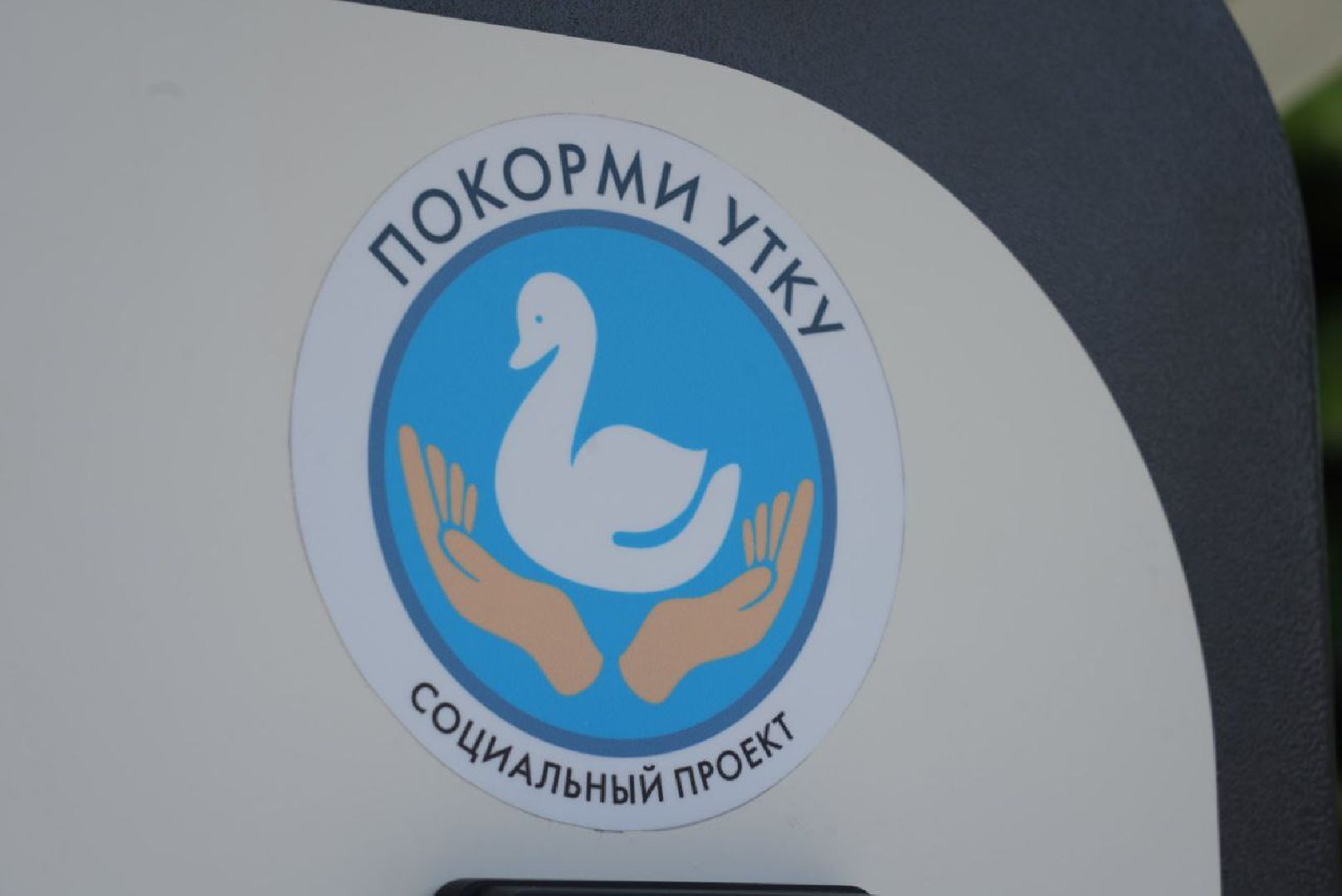 Сергиево-Посадский городской округ, Сергиев Посад, Утки, Бизнес, Общество, Добрые дела, Птицы