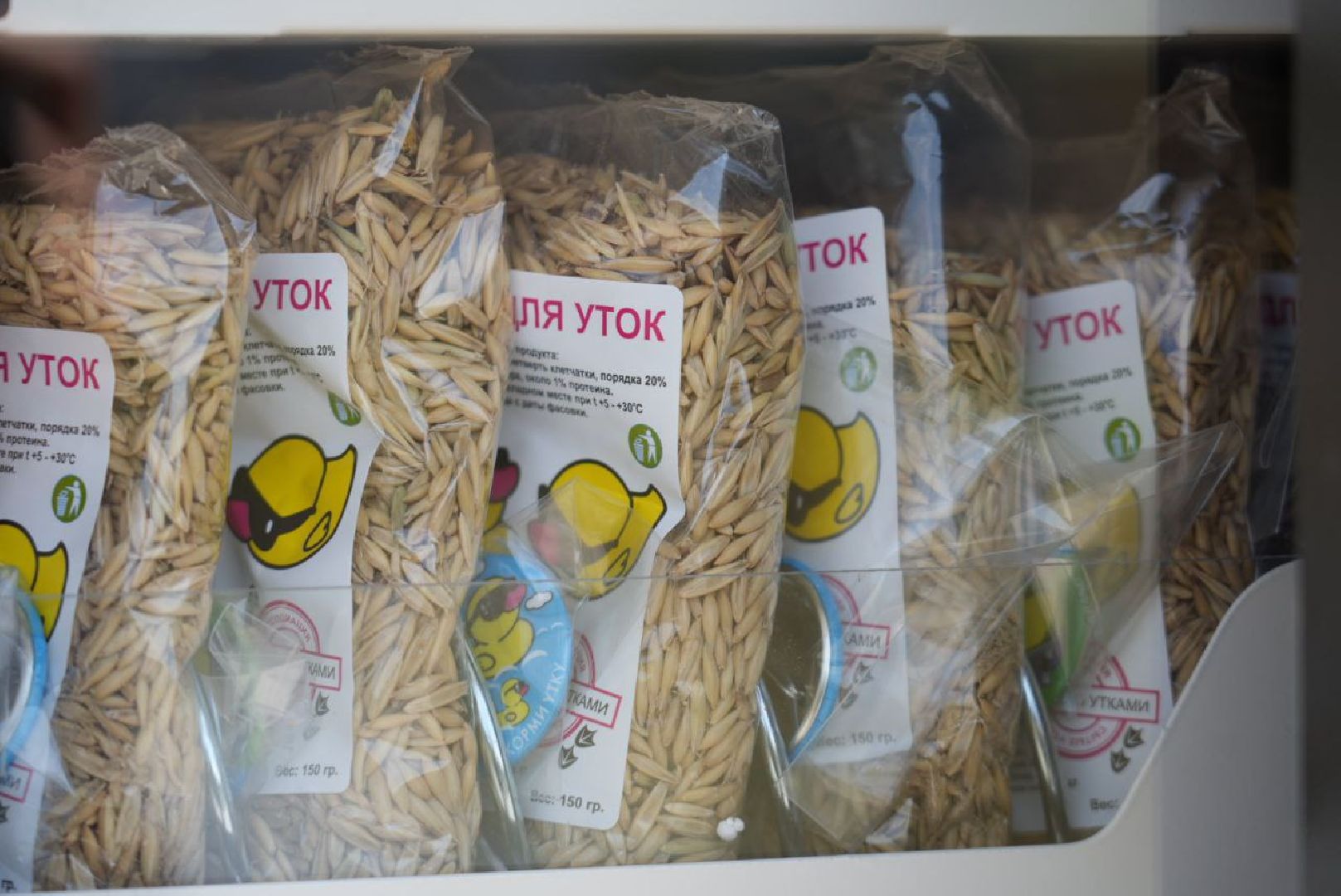 Сергиево-Посадский городской округ, Сергиев Посад, Утки, Бизнес, Общество, Добрые дела, Птицы