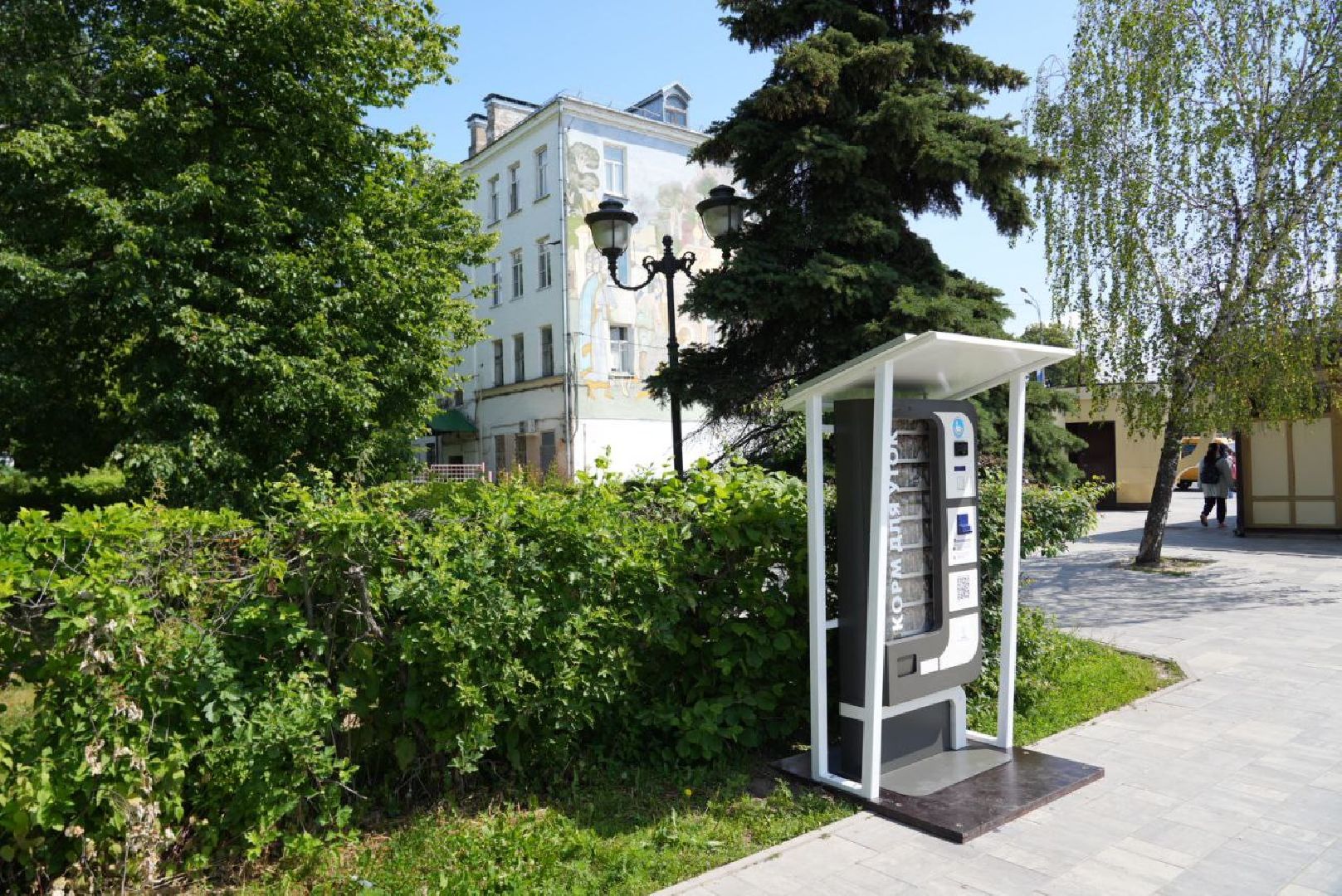 Сергиево-Посадский городской округ, Сергиев Посад, Утки, Бизнес, Общество, Добрые дела, Птицы