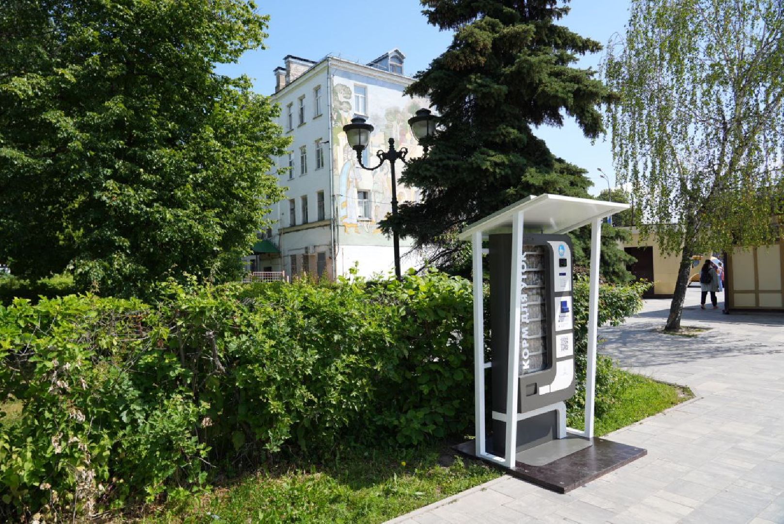 Сергиево-Посадский городской округ, Сергиев Посад, Утки, Бизнес, Общество, Добрые дела, Птицы