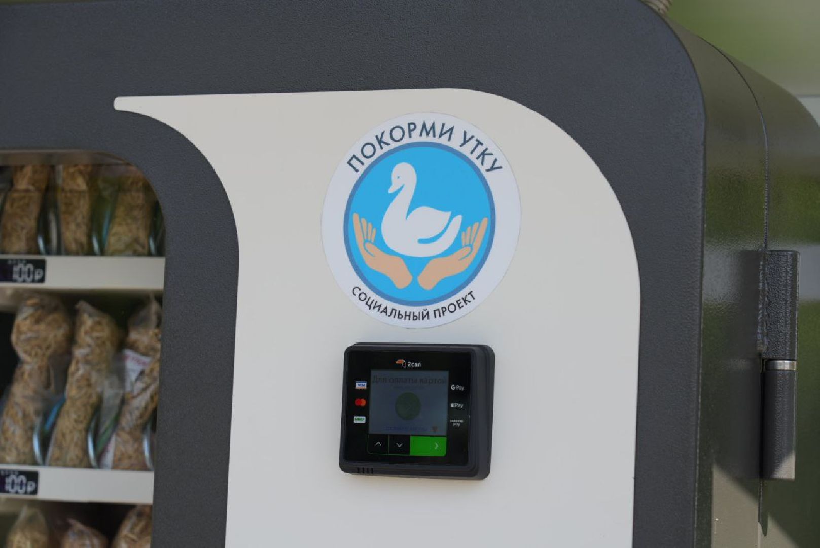 Сергиево-Посадский городской округ, Сергиев Посад, Утки, Бизнес, Общество, Добрые дела, Птицы