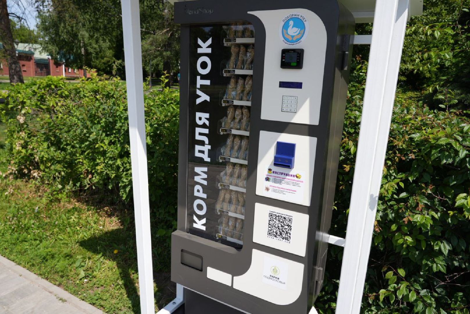 Сергиево-Посадский городской округ, Сергиев Посад, Утки, Бизнес, Общество, Добрые дела, Птицы