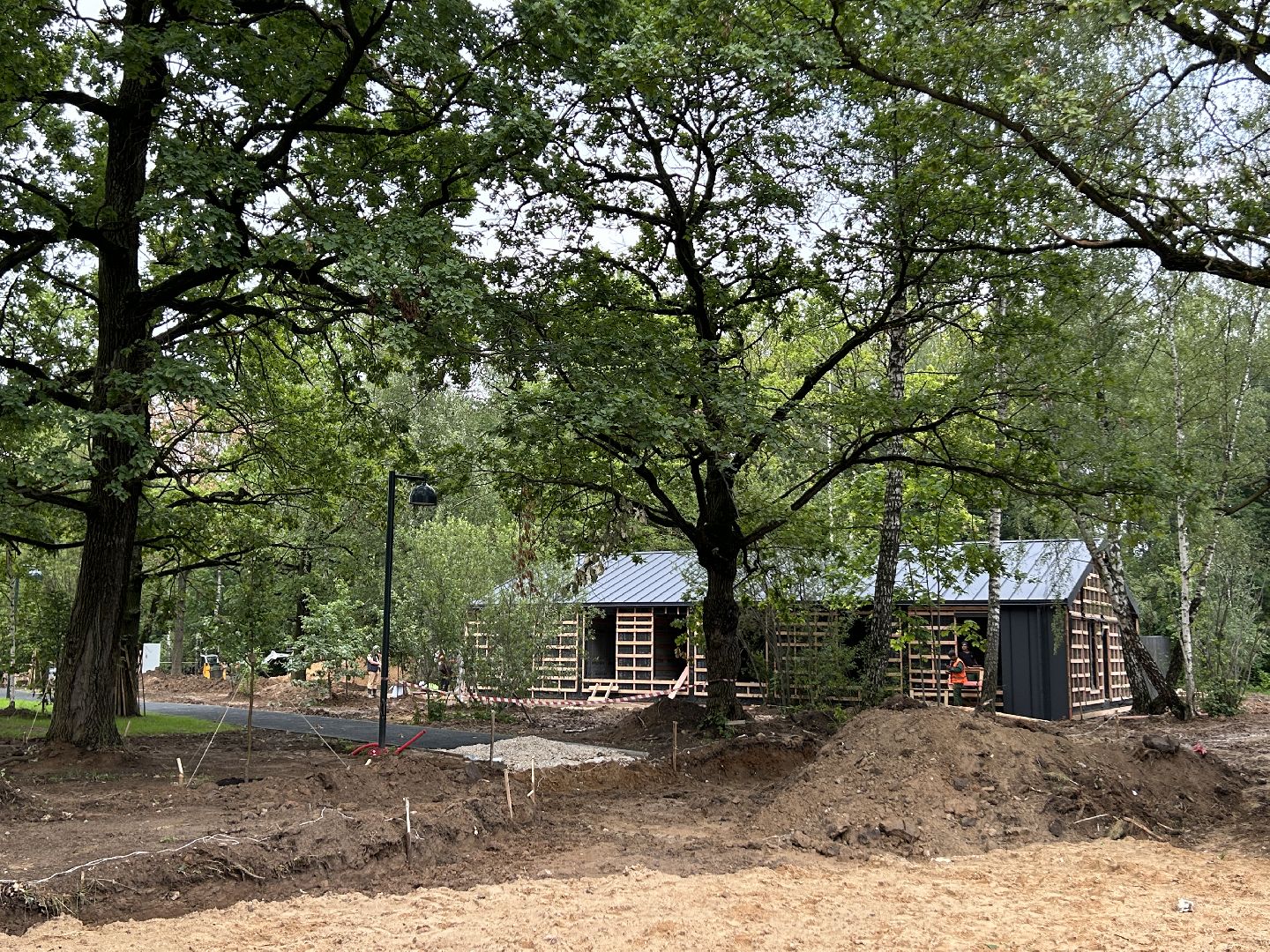 благоустройство, лесопарк, Фрязино