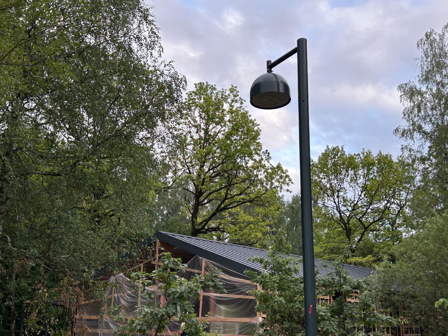 благоустройство, лесопарк, Фрязино