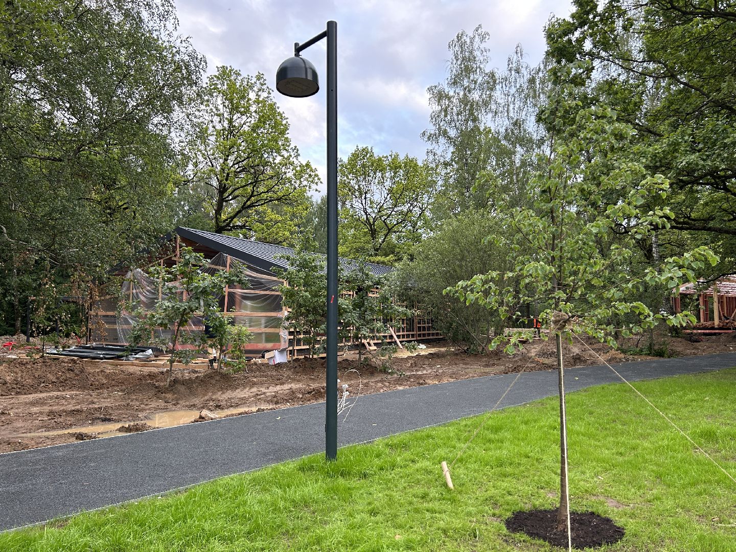 благоустройство, лесопарк, Фрязино