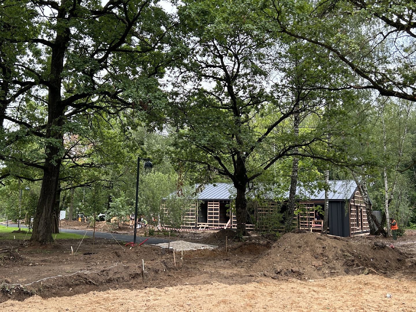 благоустройство, лесопарк, Фрязино