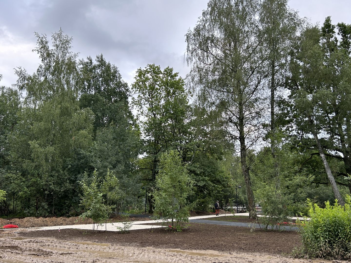 благоустройство, лесопарк, Фрязино