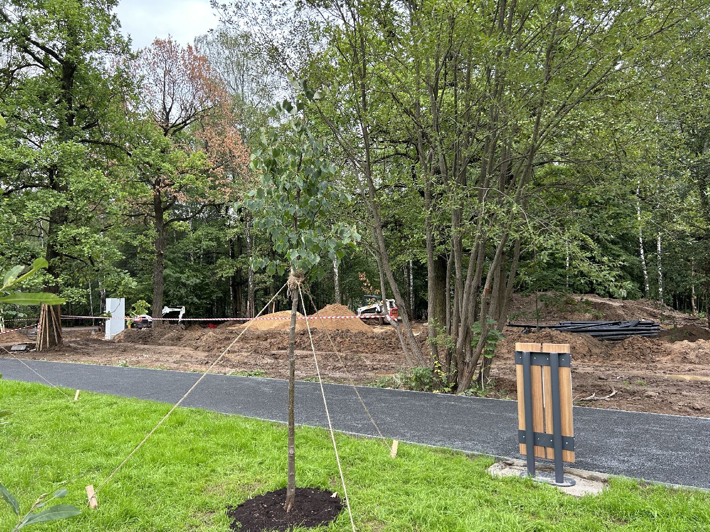 благоустройство, лесопарк, Фрязино