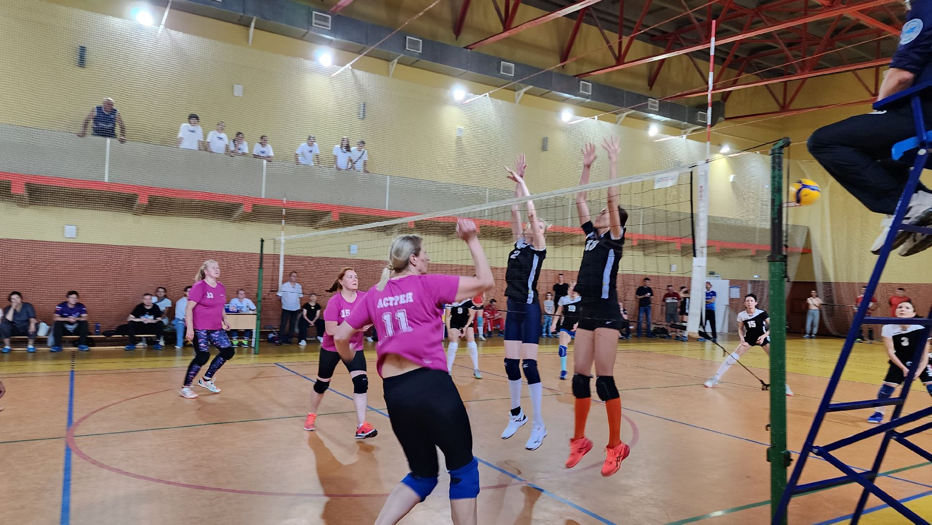 спорт, волейбол,