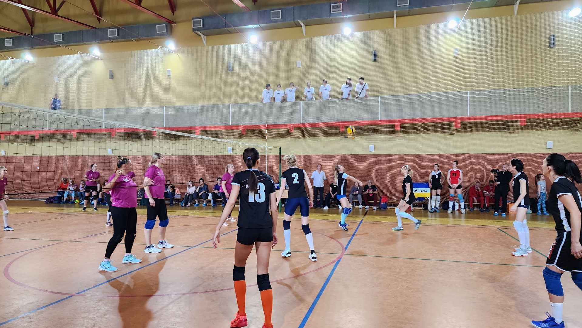 спорт, волейбол,