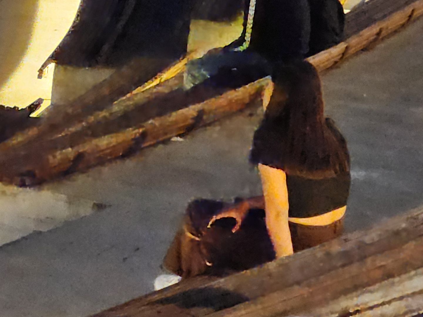 Долгопрудный, кинофестиваль, амфитеатр, короткометражка