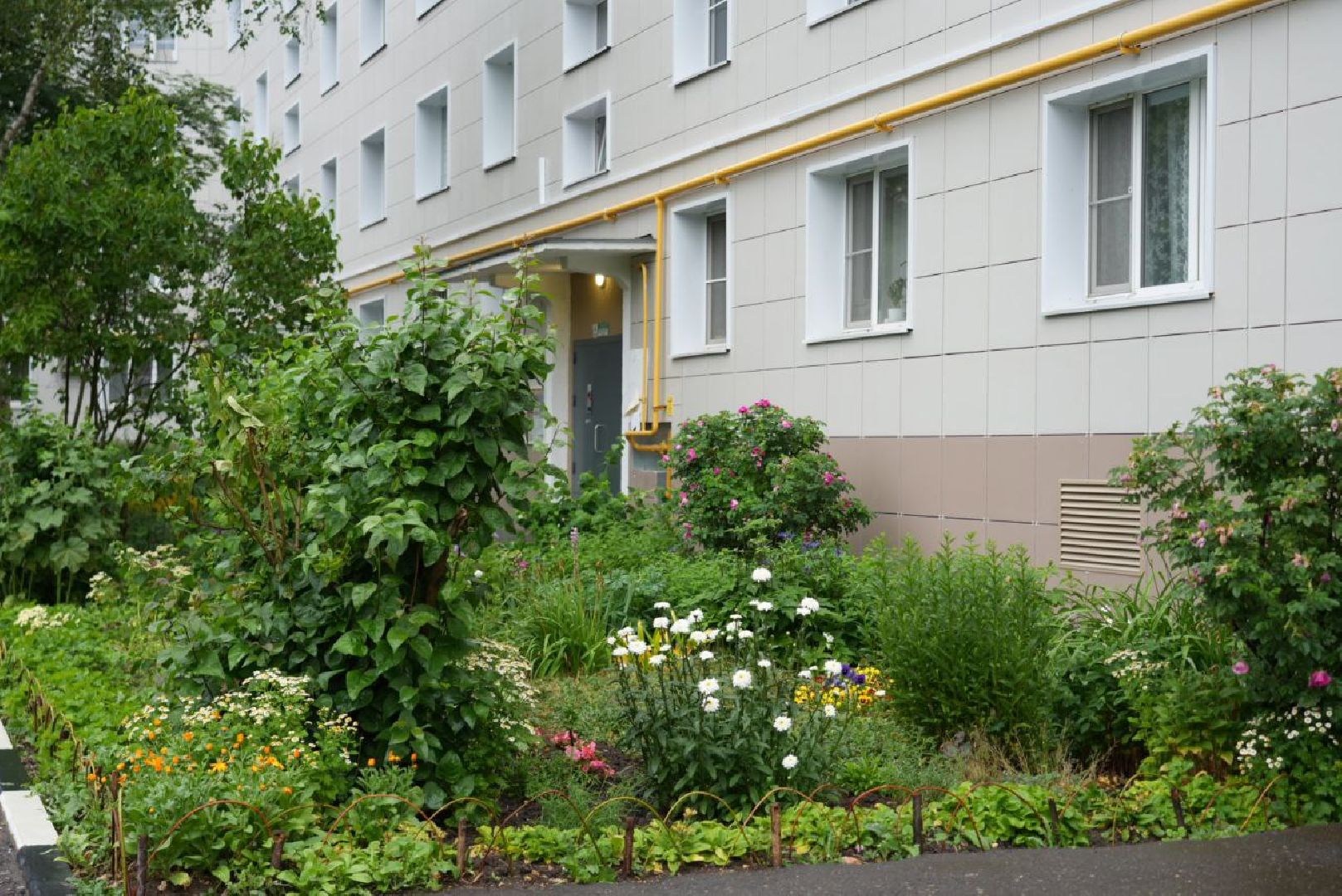 Сергиево-Посадский городской округ, Сергиев Посад, Конкурс цветников, Красота, Лето в Подмосковье, Благоустройство, Перемены