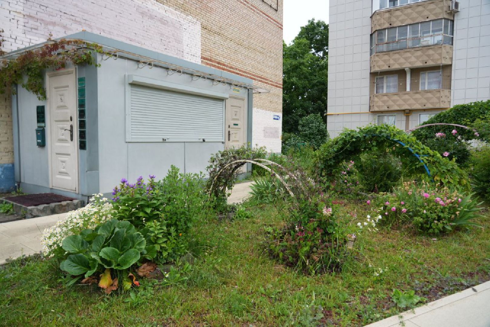 Сергиево-Посадский городской округ, Сергиев Посад, Конкурс цветников, Красота, Лето в Подмосковье, Благоустройство, Перемены