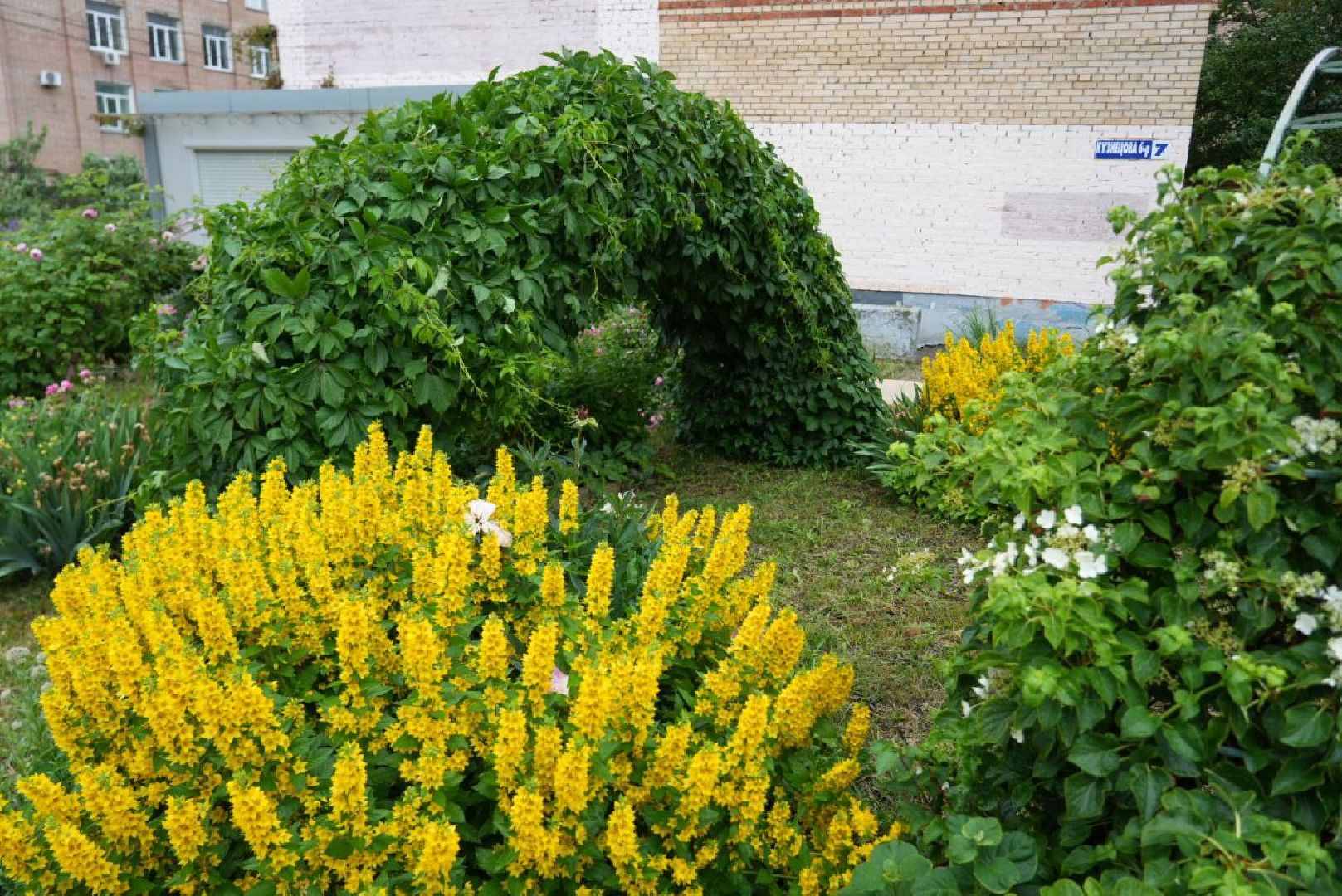 Сергиево-Посадский городской округ, Сергиев Посад, Конкурс цветников, Красота, Лето в Подмосковье, Благоустройство, Перемены
