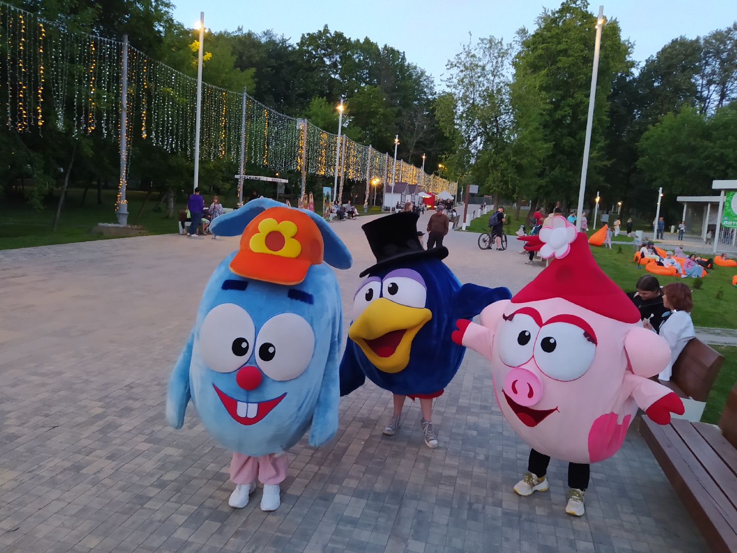 Истра, смешарики, парк, ночь