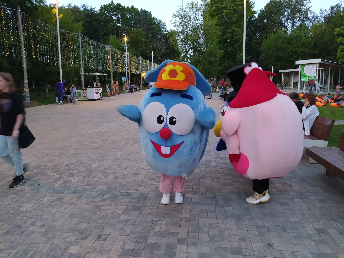 Истра, смешарики, парк, ночь