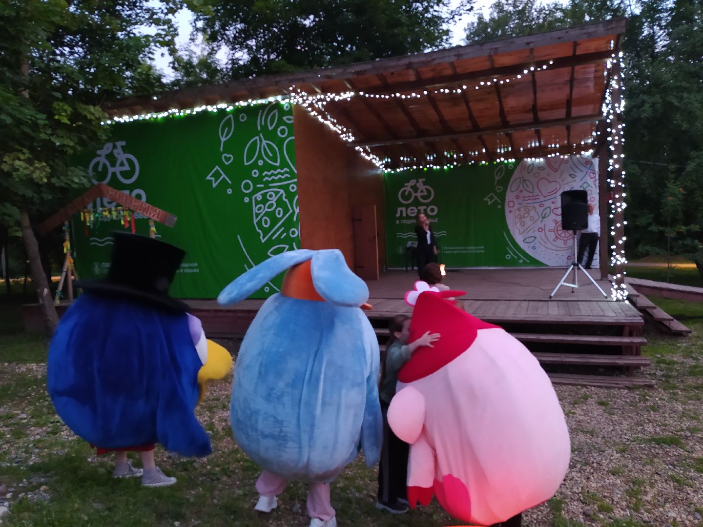 Истра, смешарики, парк, ночь