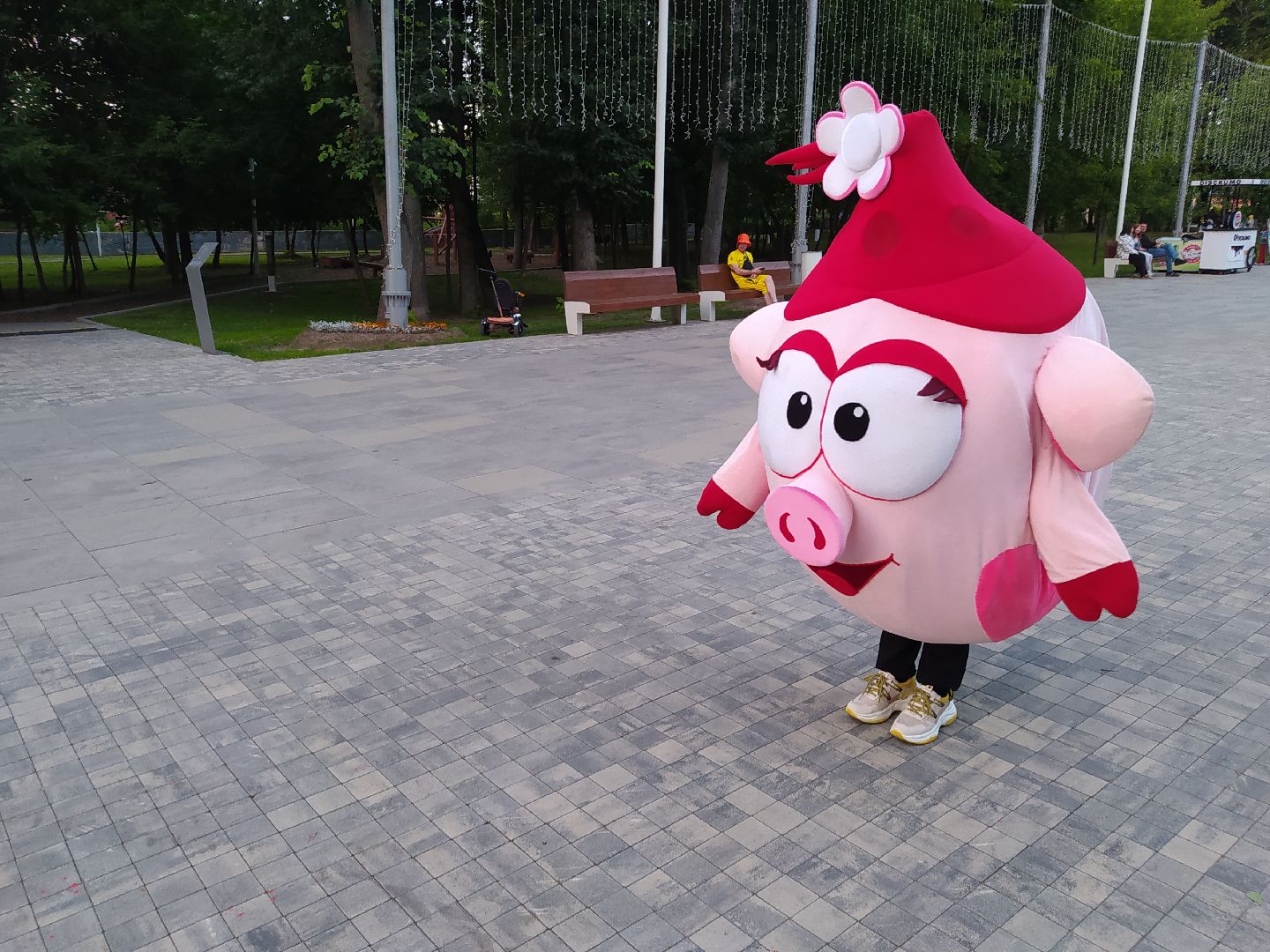 Истра, смешарики, парк, ночь