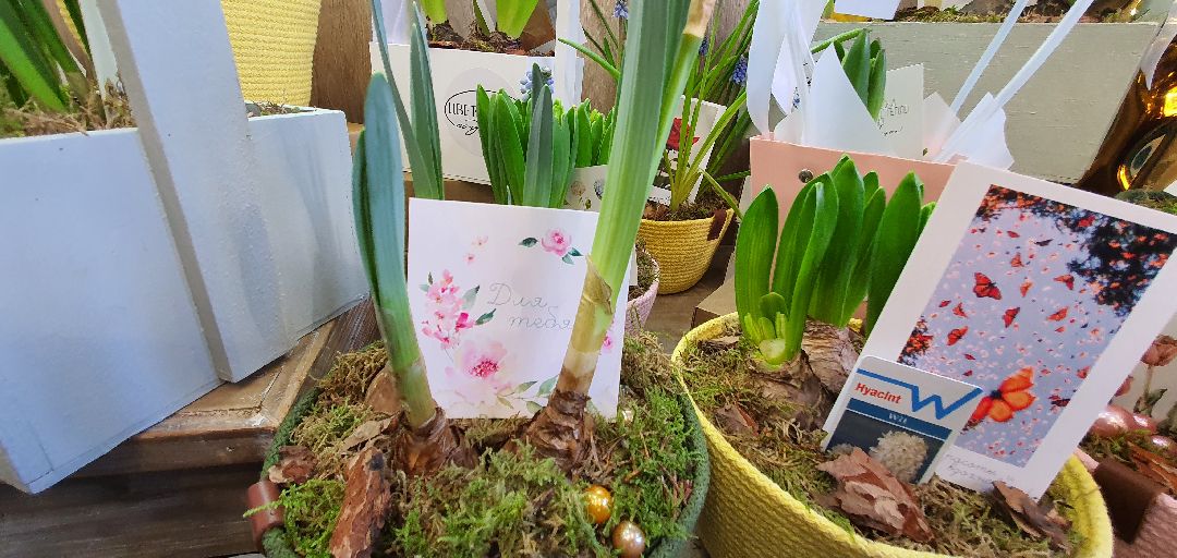 8 Марта, цветы, весна, Домодедово