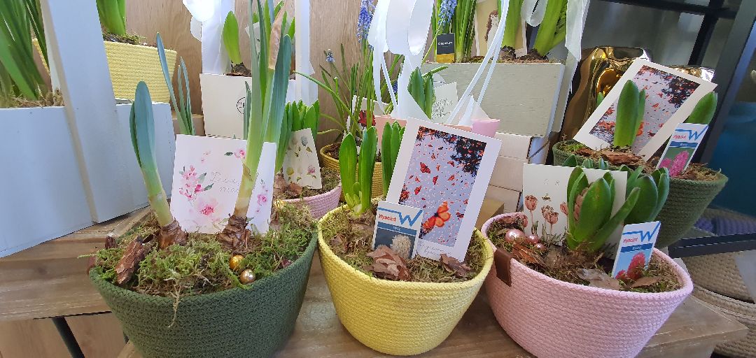 8 Марта, цветы, весна, Домодедово