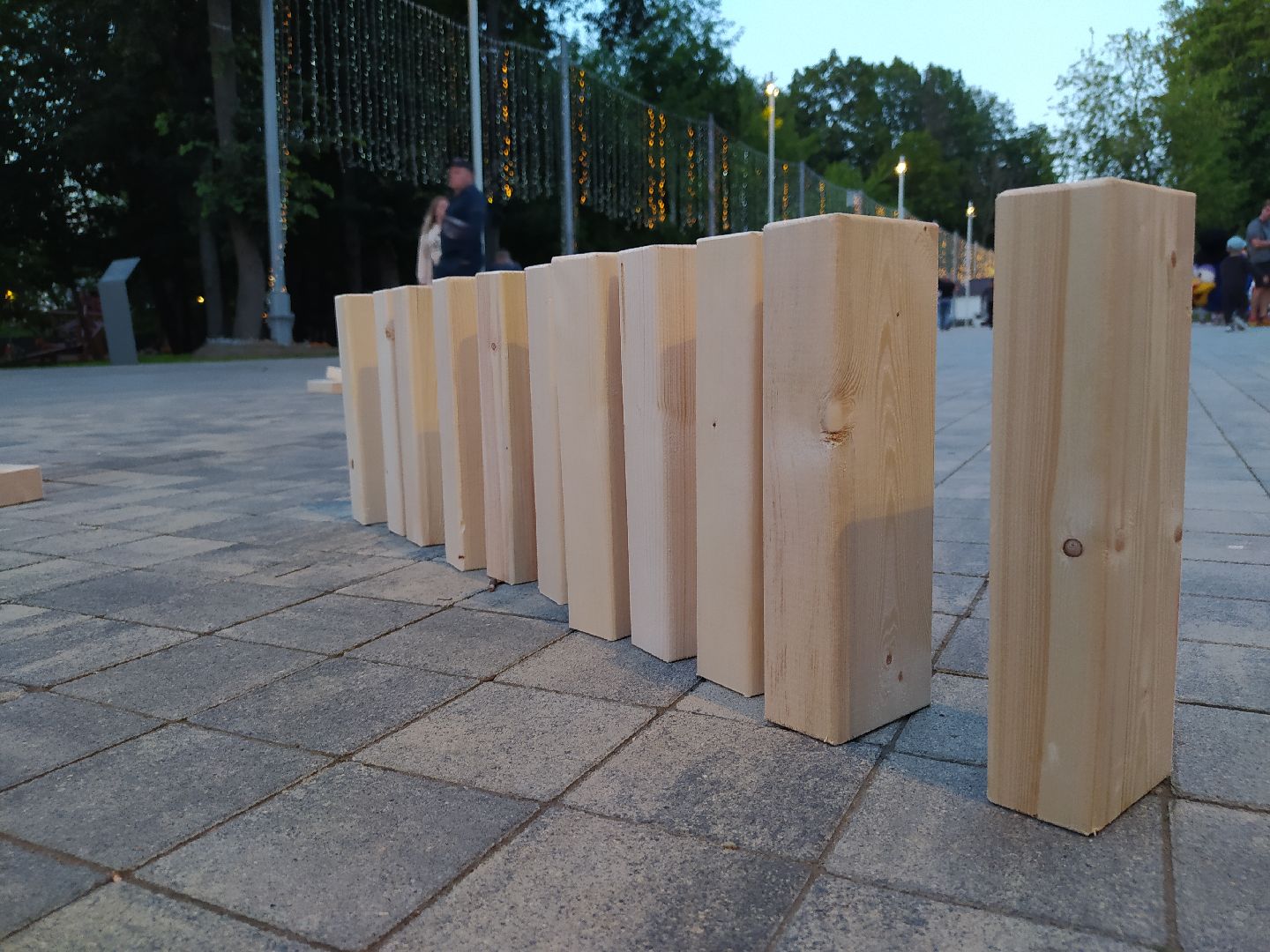 Истра, парк, дженга, ночь