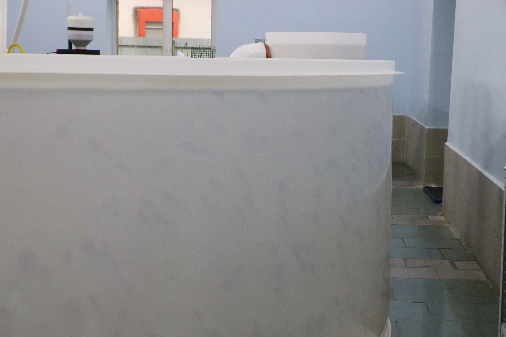 Серебряные Пруды, сельское хозяйство, экономка, осетр