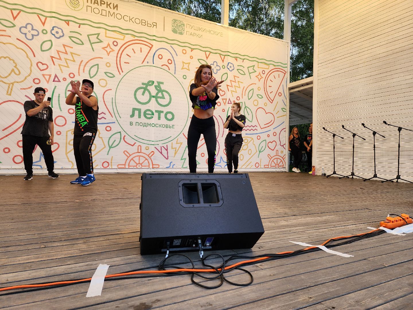 концерт, лето в Подмосковье, доброе дело