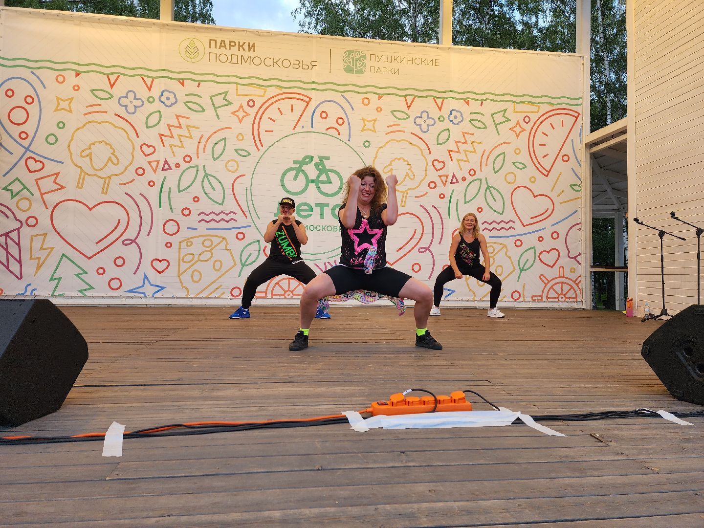 концерт, лето в Подмосковье, доброе дело