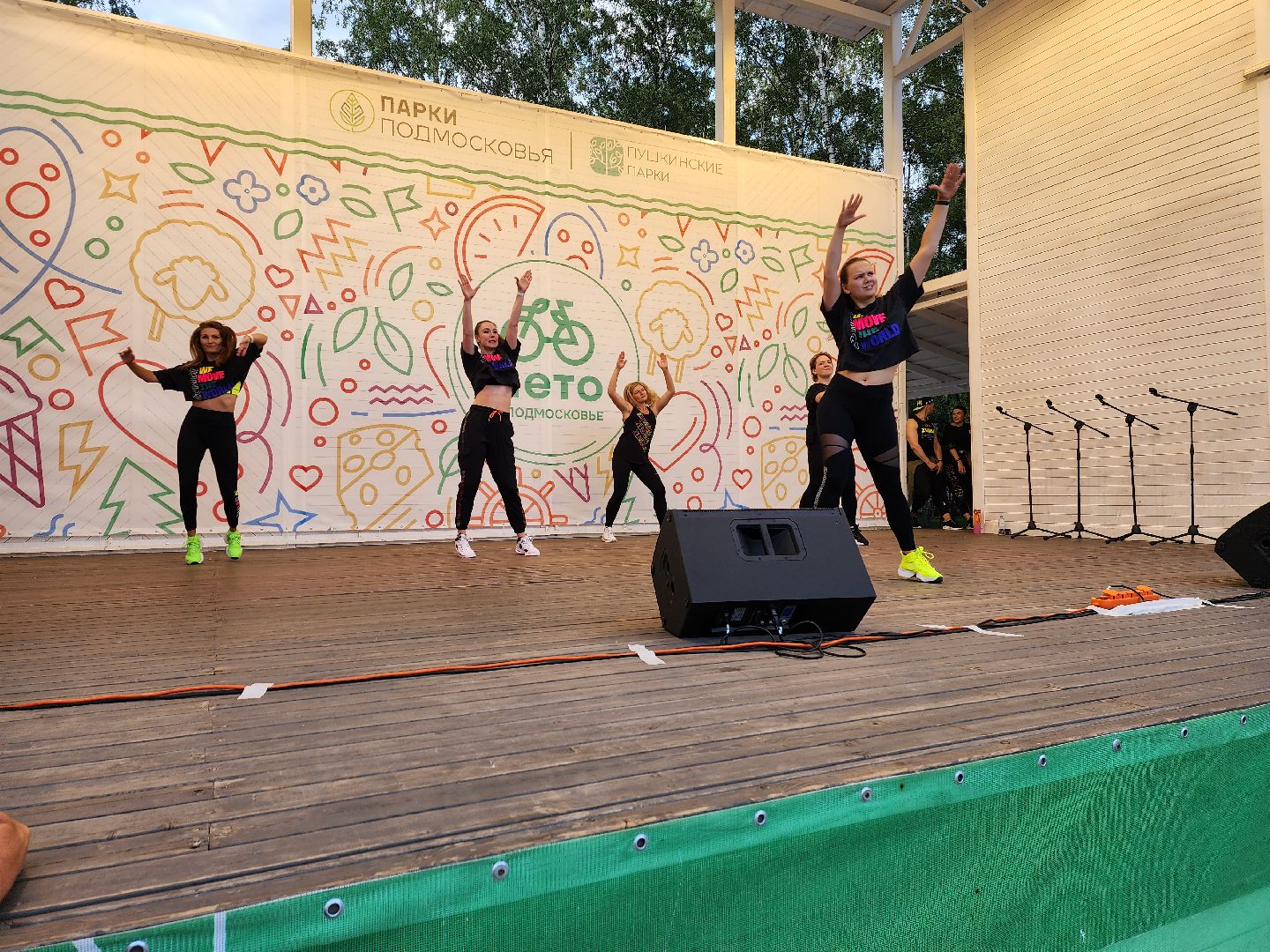 концерт, лето в Подмосковье, доброе дело