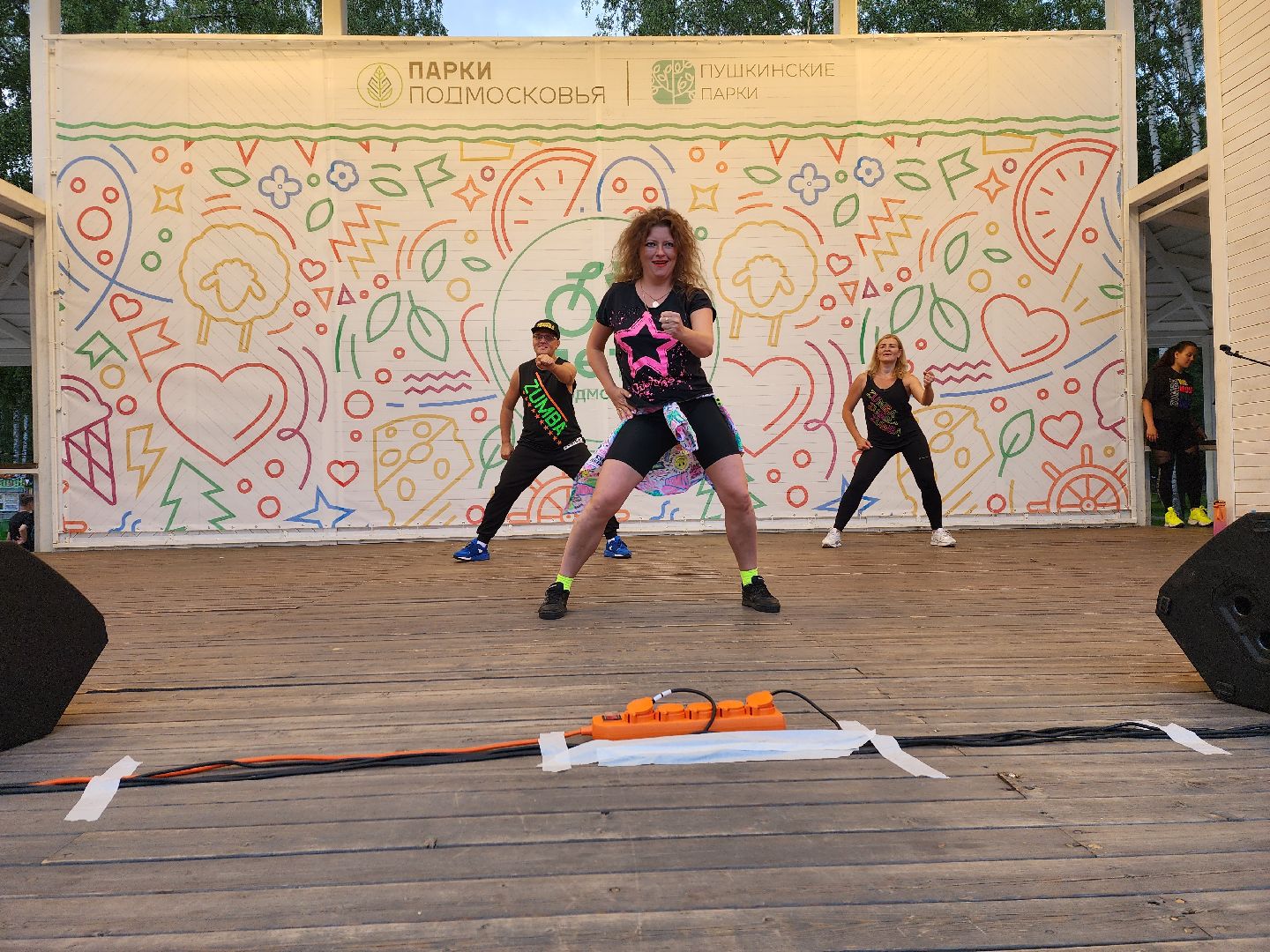 концерт, лето в Подмосковье, доброе дело