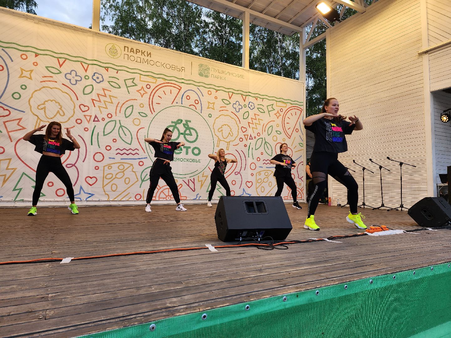 концерт, лето в Подмосковье, доброе дело